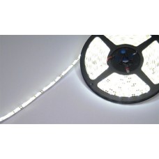 LED Strip, White color, 12V (1 segment)